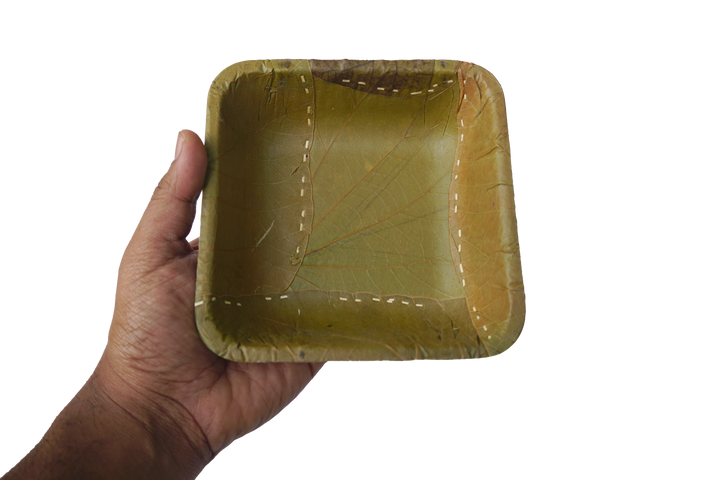 Biodegradable Leaf Takeaway box | Pack of 10