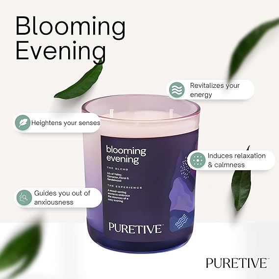 Puretive Botanics | Soy Candles | 480 g