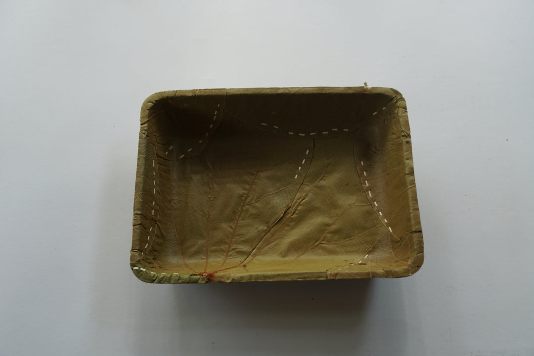 Biodegradable Leaf Takeaway box | Pack of 10