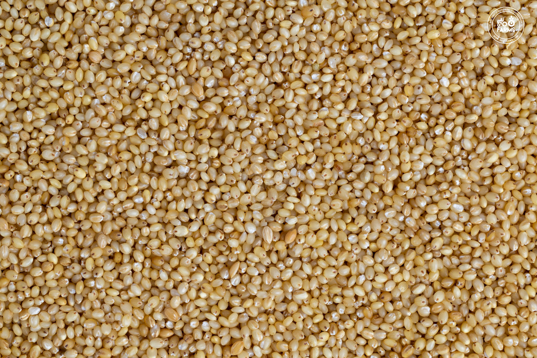 Foxtail Millet | Low Glycemic Index