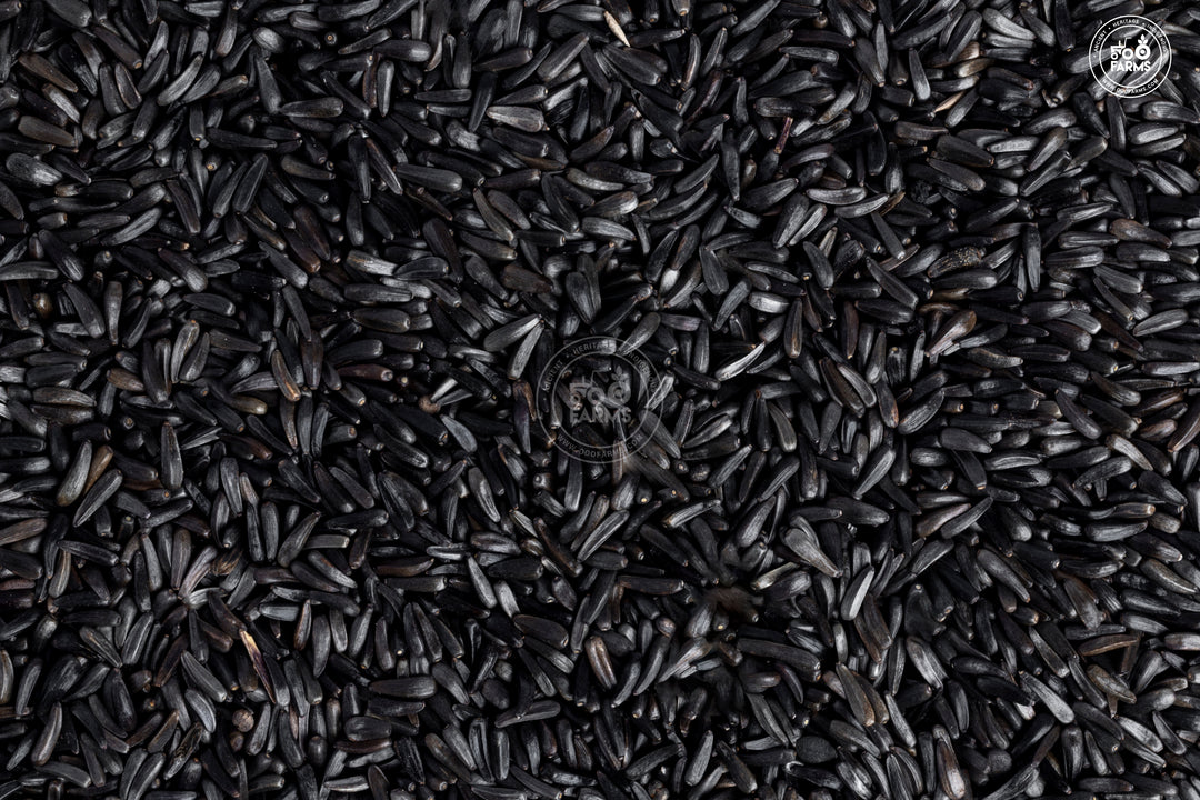 Niger Seed | Iron-Rich