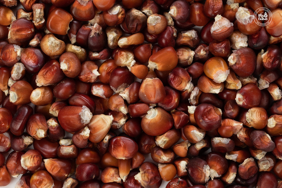 Red Corn Whole | Heirloom Rich Flavor