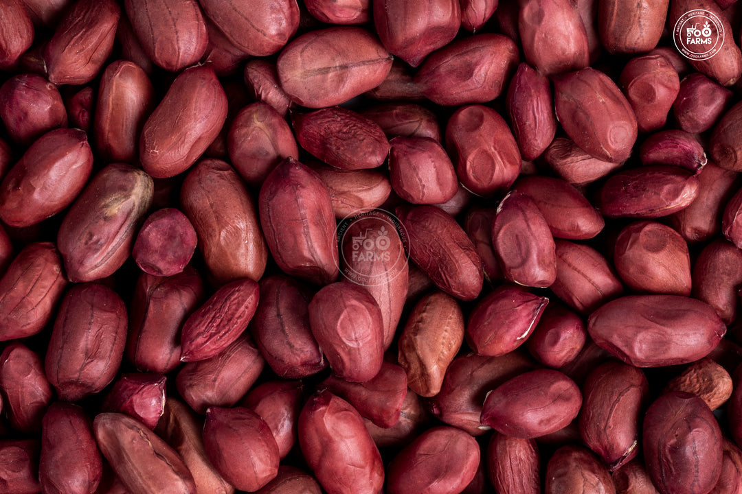 Red Jwari Groundnut | Rich in Vitamins & Minerals