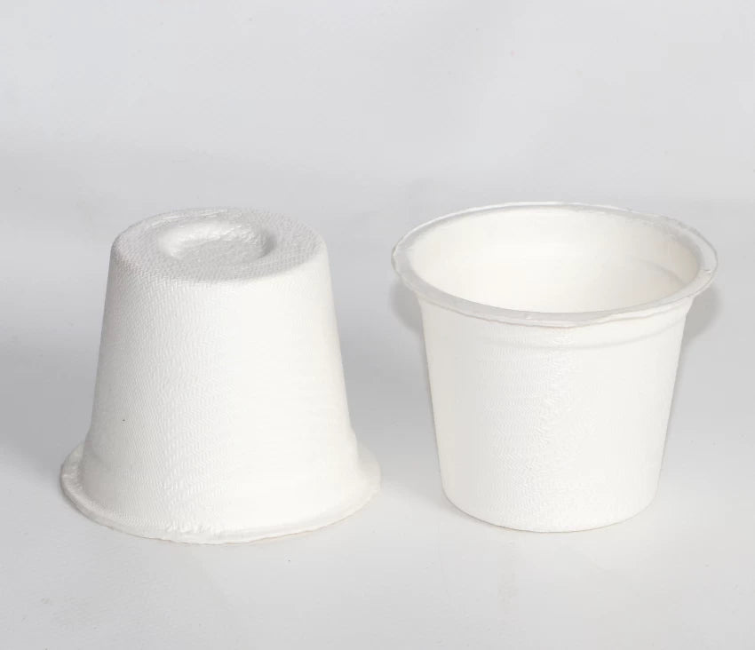 Biodegradable Beverage Cups | Bagasse | Pack of 50