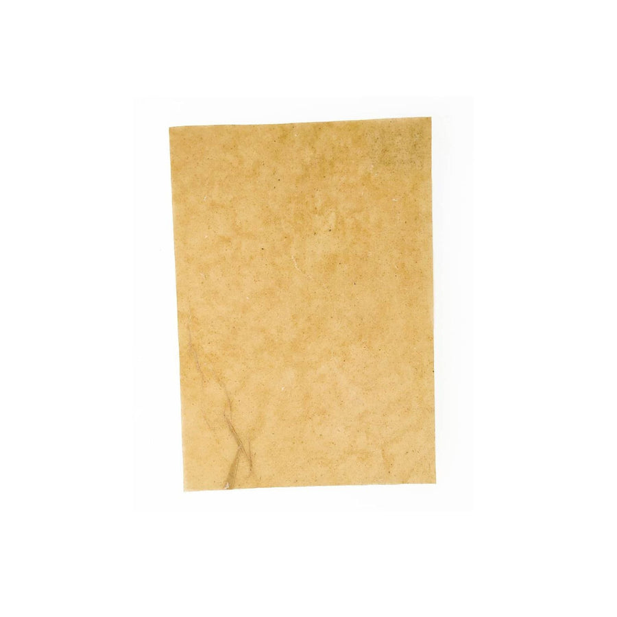 Banana Paper | Naturally translucent paper - buff | Pack of 24 | A4 - bhrsa