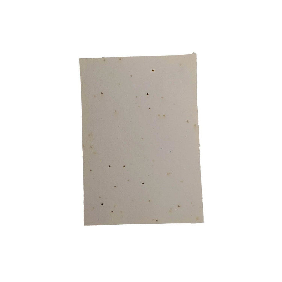 Seed Paper | Ingenious | Pack of 24 | A4 - bhrsa